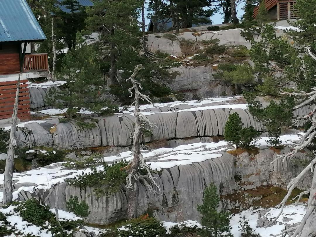Studio Montagne A La Pierre St Martin Arette Eksteriør bilde